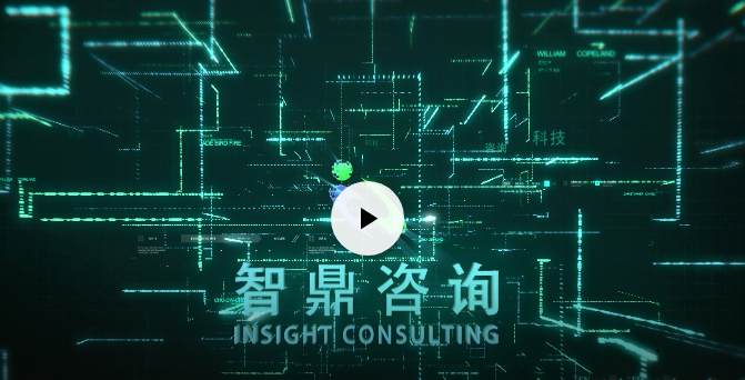 智鼎咨询.mp4 智鼎咨询.mp4