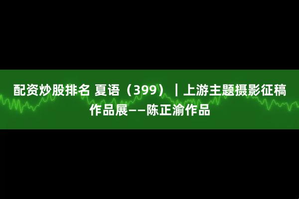 配资炒股排名 夏语（399）｜上游主题摄影征稿作品展——陈正渝作品