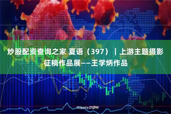 炒股配资查询之家 夏语（397）｜上游主题摄影征稿作品展——王学炳作品